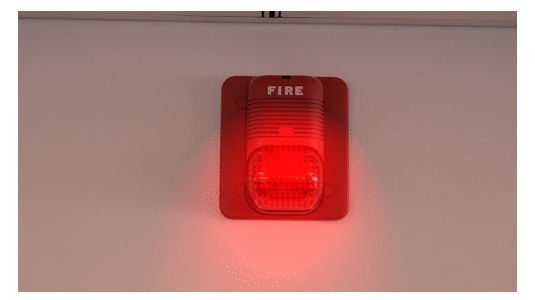 1670206922637905.png image.png